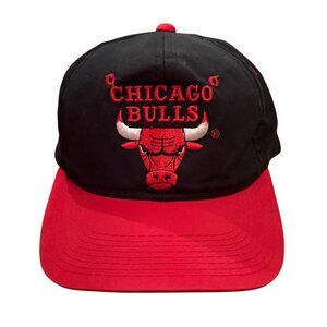Vintage Chicago Bulls Hat